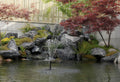 Reasons to trust Poposoap Solar Fountain Pumps