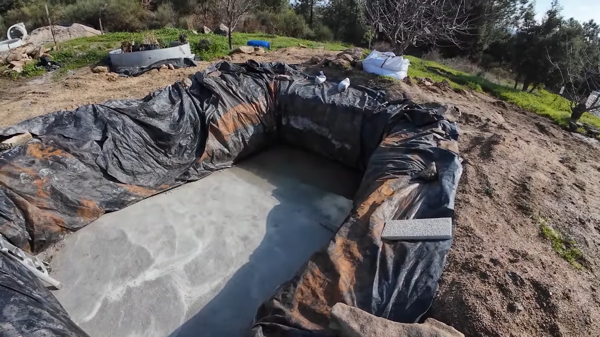 A Busy Autumn Homestead and 3 Lime Recipes - 231