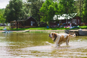 Can You Use Pond Water for Irrigation