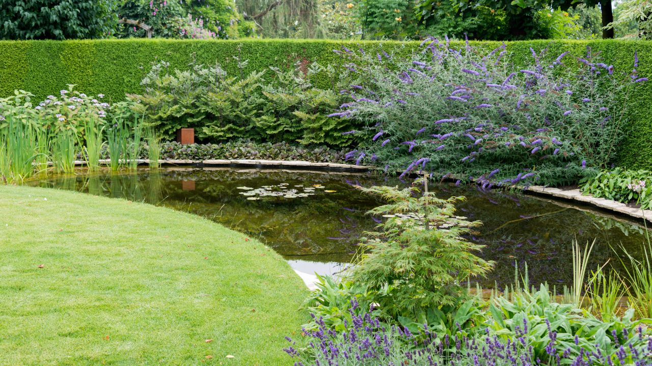 Using Recycled Materials to Build Your Pond Border