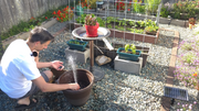 Poposoap Solar Fountain Review: Creating a Tranquil Garden Waterscape