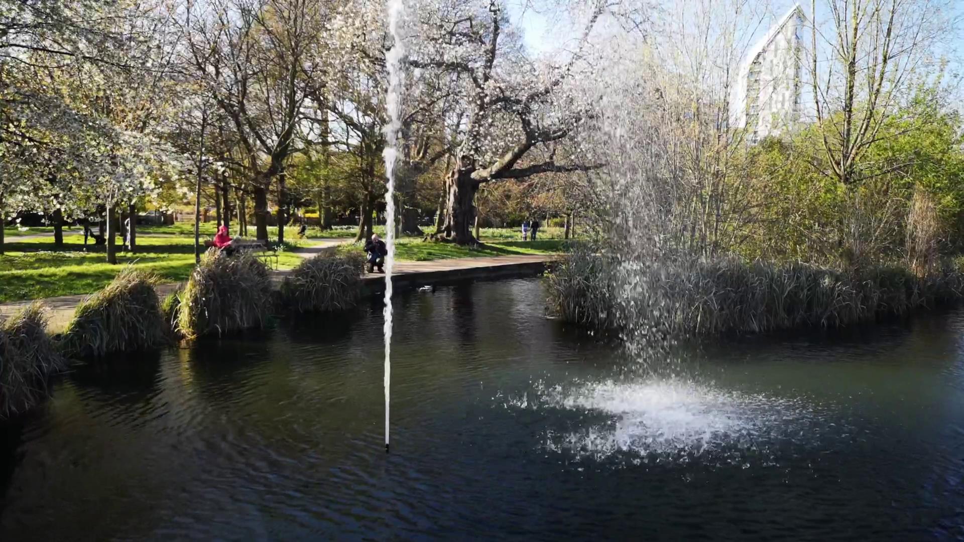 How to Make a Large Pond: Build Your Backyard Paradise