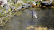 The Ultimate Guide to Installing a Pond Pump and Filter in 30 Minutes
