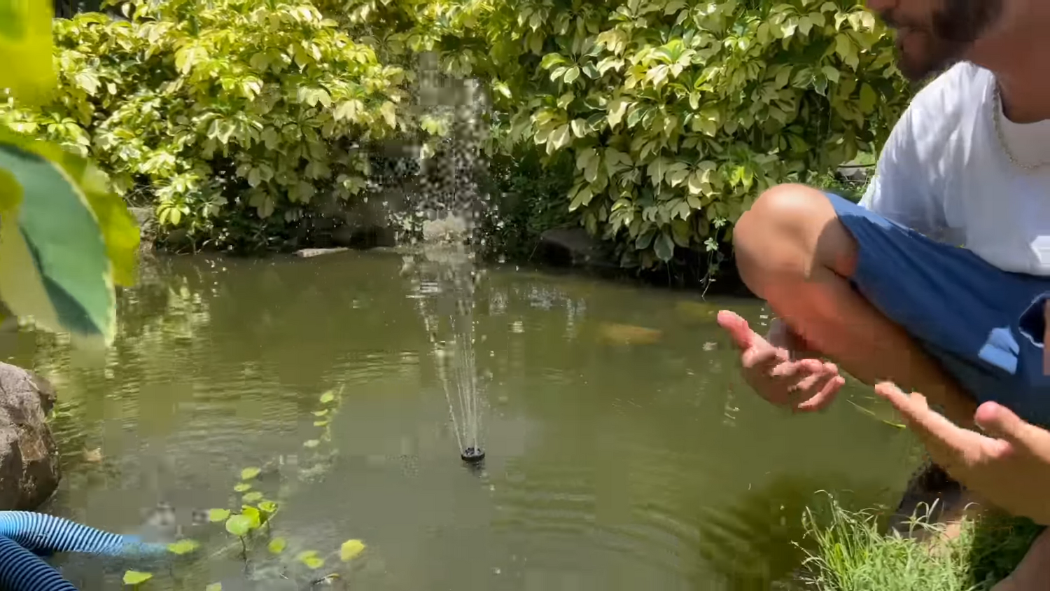 Explore Paul's Wonderful Animal Kingdom: Saltwater Ponds