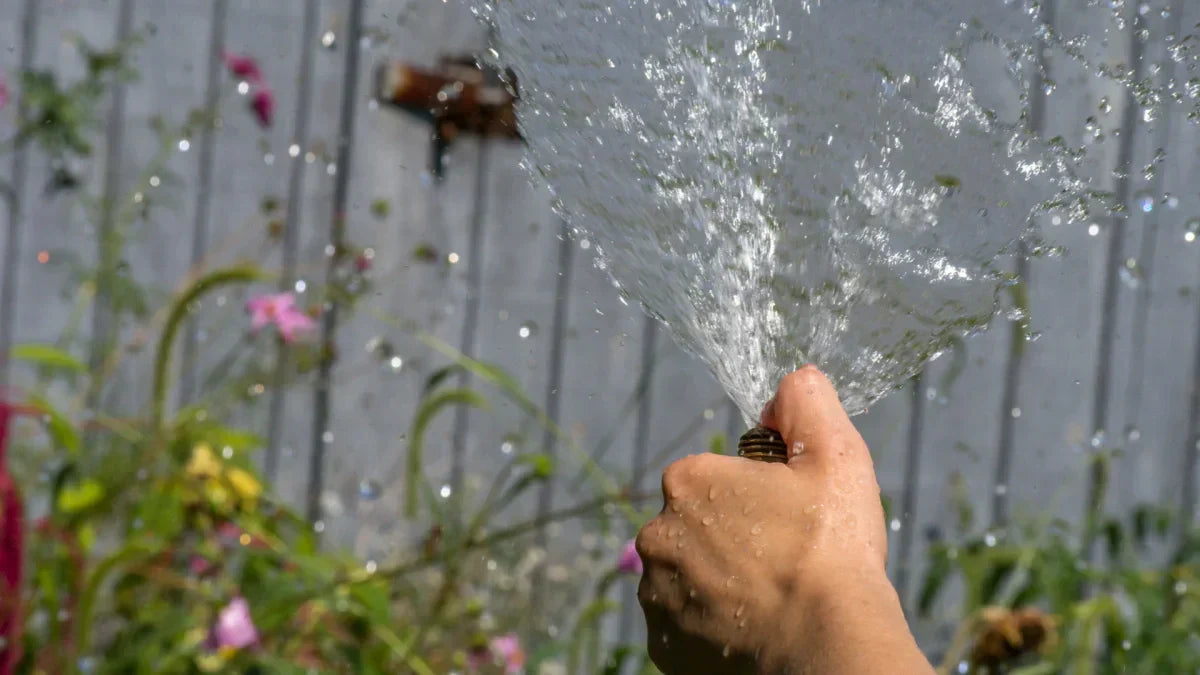 Can You Use Pond Water for Irrigation?