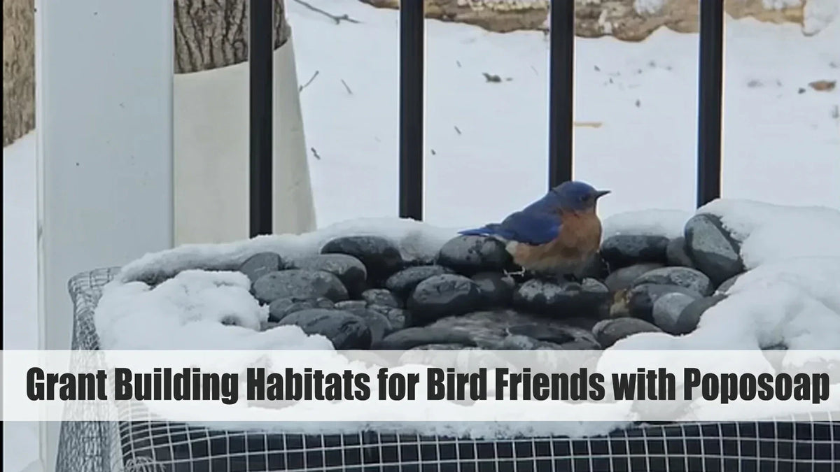 Picture Idea: Grant Building Habitats For Bird Friends With Poposoap
