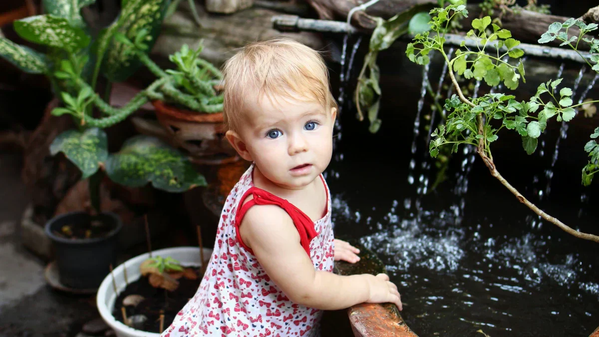 healthy backyard pond