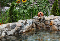 prevent  attract mosquitoes from pond