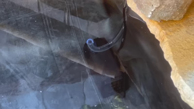 13. Install the Solar Water Fountain Pump inside the pond.