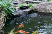 Put it into the water outlet pipe of the waterfall and extend from the bottom of the pool to the top of the waterfall.