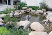 The shallow water area (15 to 30cm) is used for water plants and birds to wade through.