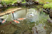 Miniature streams or small Bridges can be designed as extension elements.