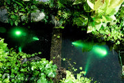 Underwater lights can be installed at night (warm light is recommended, and water fog lights are optional).