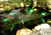 Install solar light strips/spotlights to illuminate fountains or reflections on the water surface.