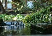 Create a sense of projection by using vegetation.