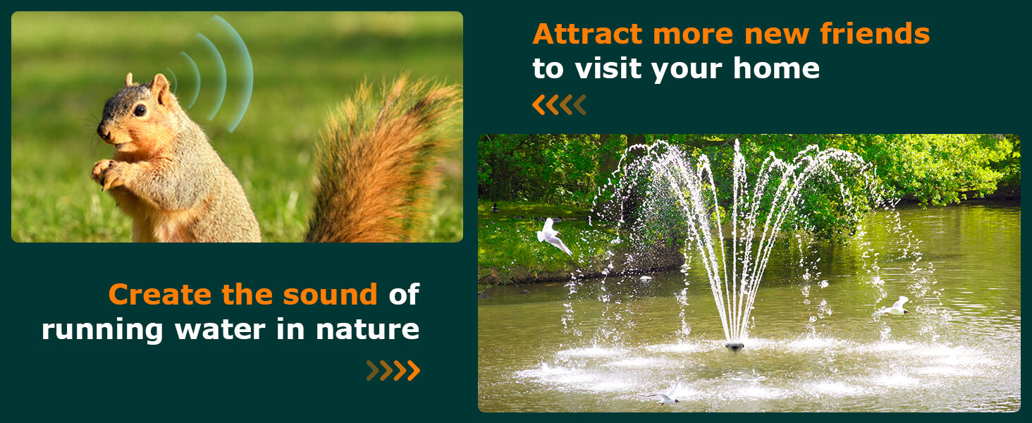 Invite More Wildlife to Your Backyard