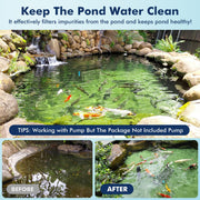 326 Pond Filter Box