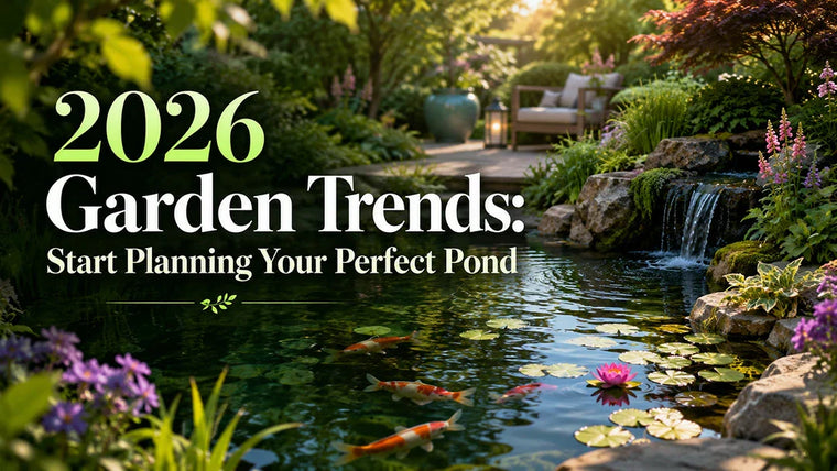 2026 Garden Trends: Start Planning Your Perfect Pond