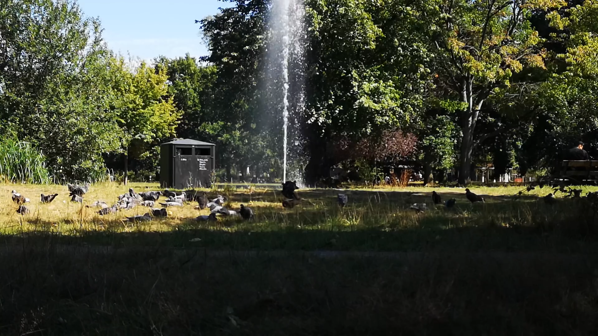 How to Design the Perfect Water Feature Using Poposoap Solar Electric Water Pump