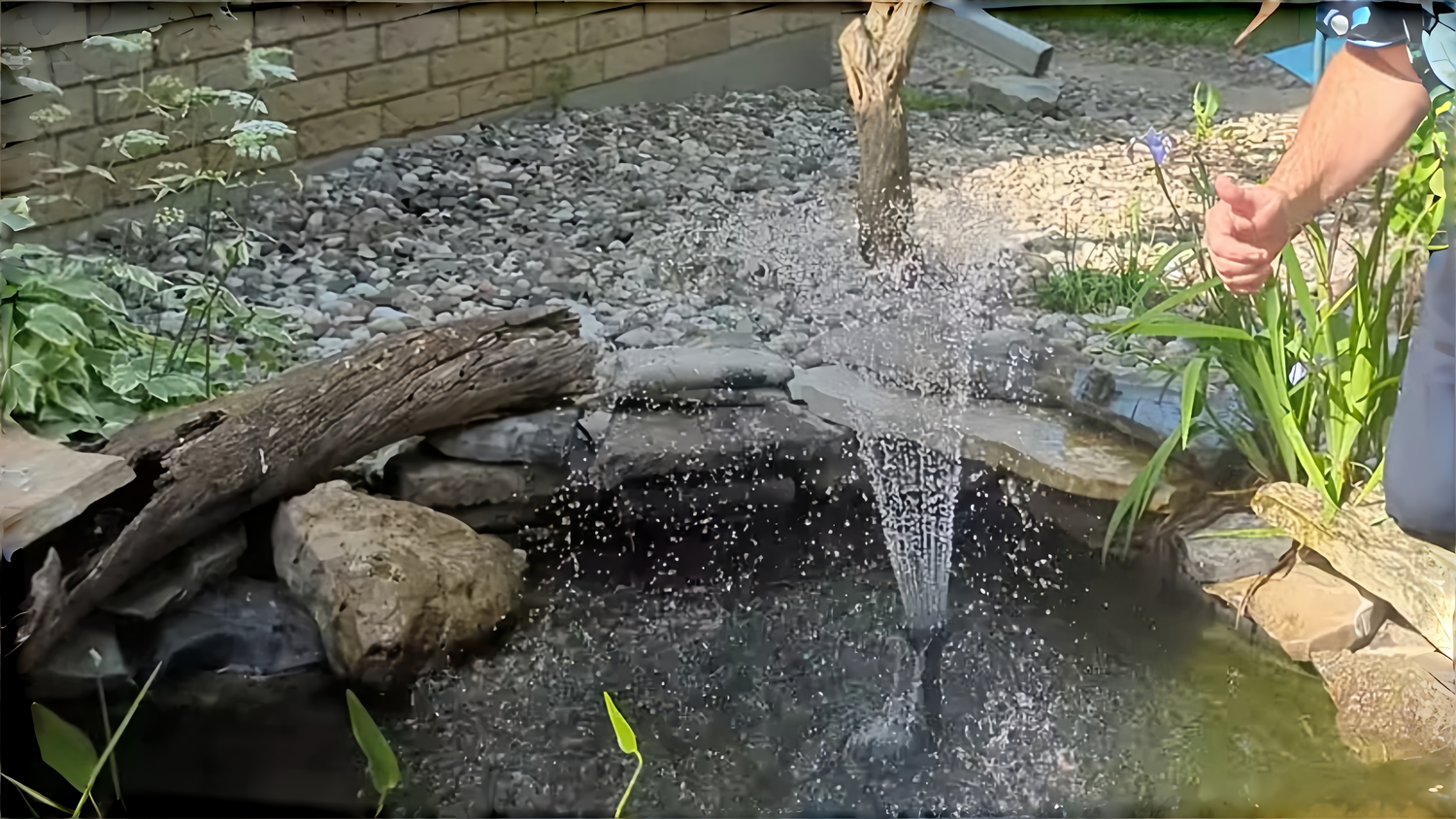 Poposoap Submersible Pond Pump and Filter Review: A Powerful Assistant for Small Waterscapes