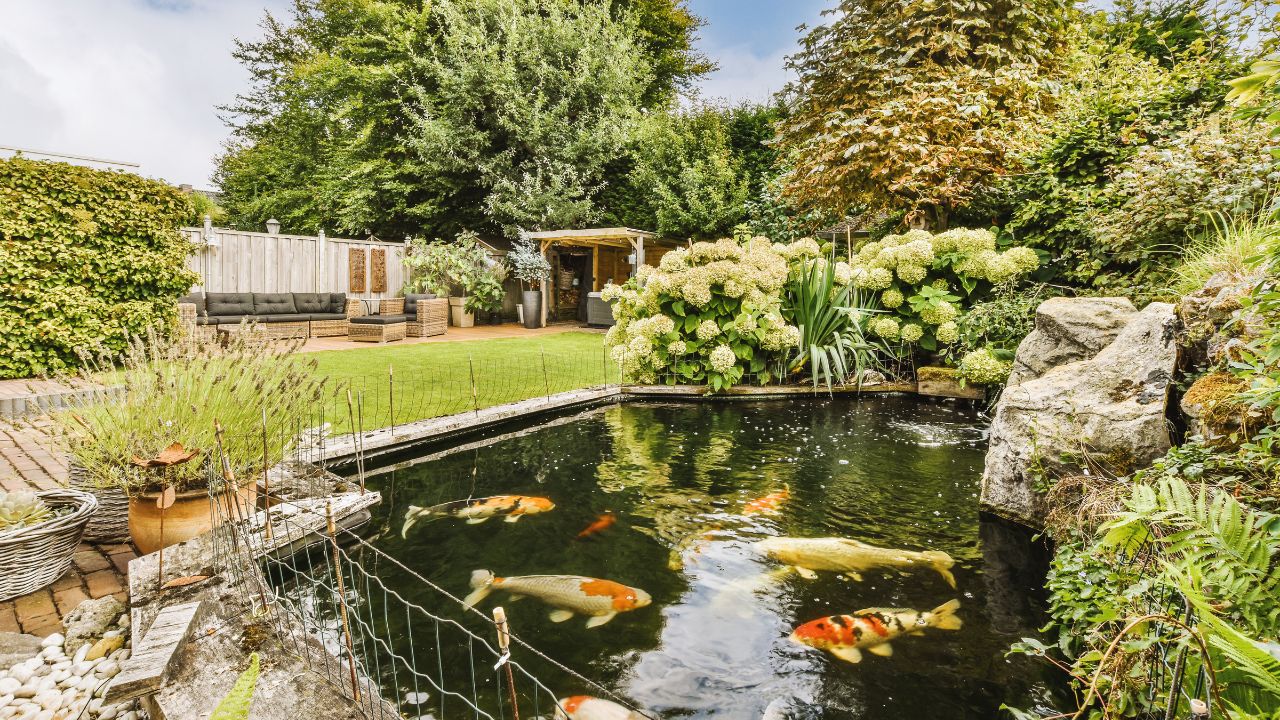 10 Creative Above-Ground Pond Ideas for Fish, Koi & Turtles
