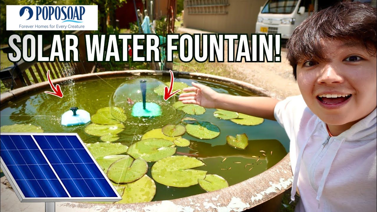 Harness the Sun: Benefits of POPOSOAP Solar Water Fountains