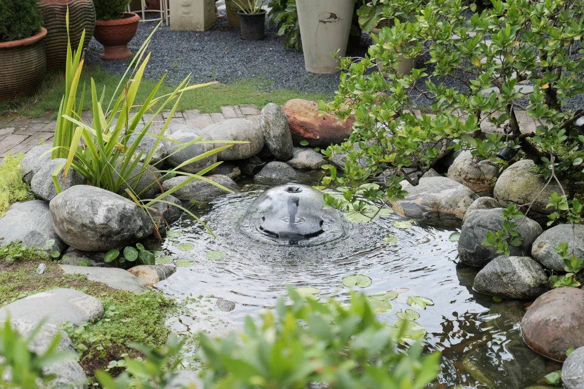 How to Keep Your Pond Water Clear