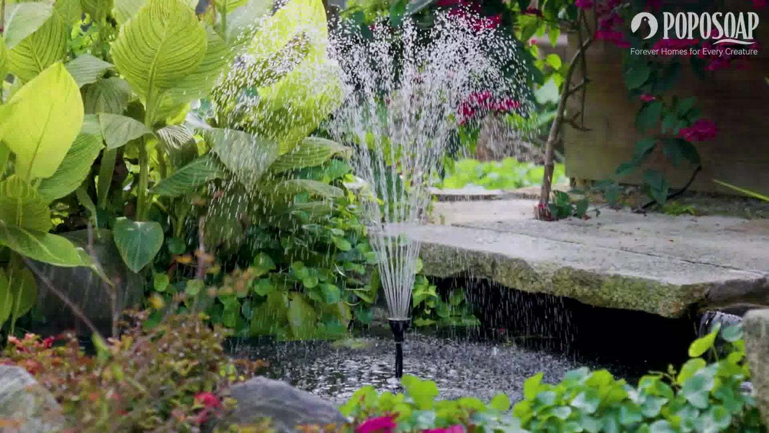 Why Is It Wise to Choose A Poposoap Solar Water Fountain Outdoor?