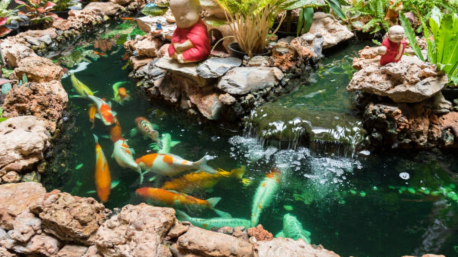 Koi Pond Patterns with Shapes: Inspiring Designs for Your Garden – Poposoap