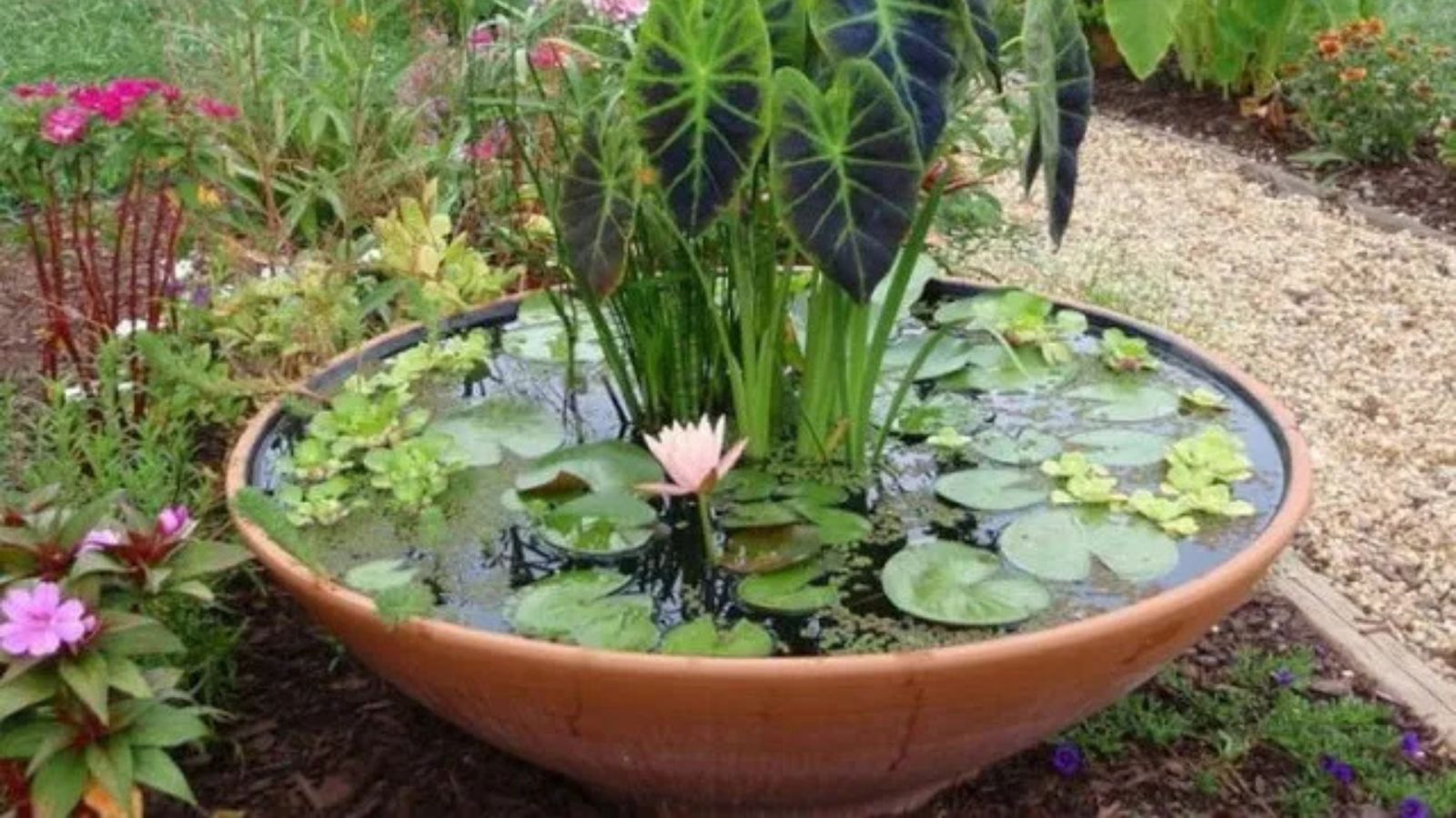 DIY Ideas How to create a mini pond with a Poposoap Powered fountain