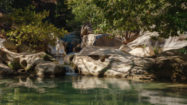 Designing a Multi-Level Pond for Waterfalls