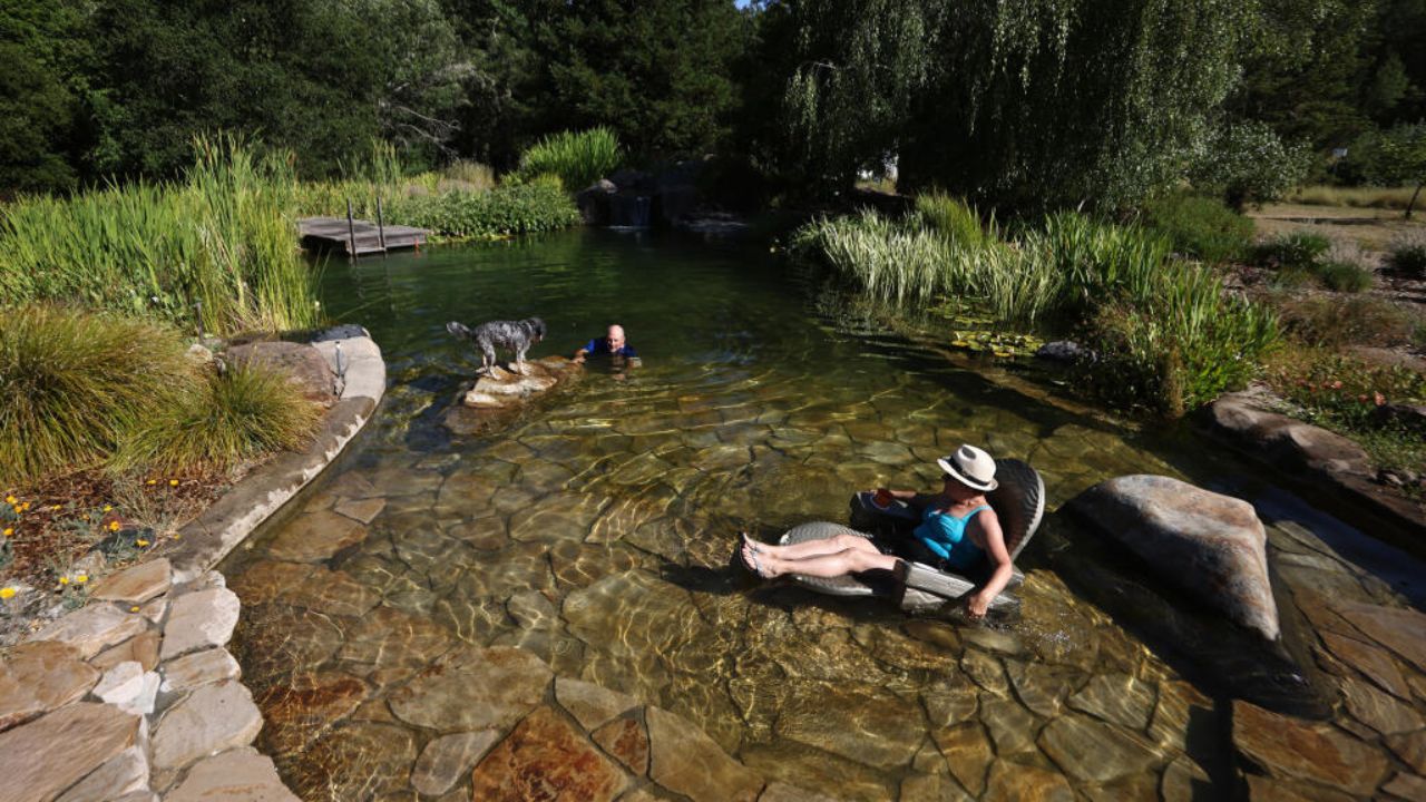 Natural Pond Pool: Your Guide to Building an Eco-Friendly Oasis