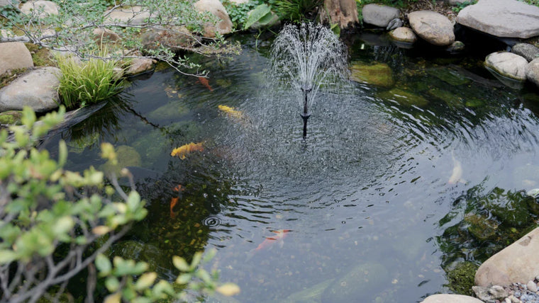 The Poposoap fountain pump is not spraying water? This article will teach you how to quickly troubleshoot and repair it!