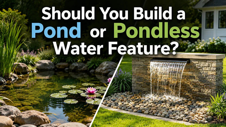 Should You Build a Pond or Pondless Water Feature?