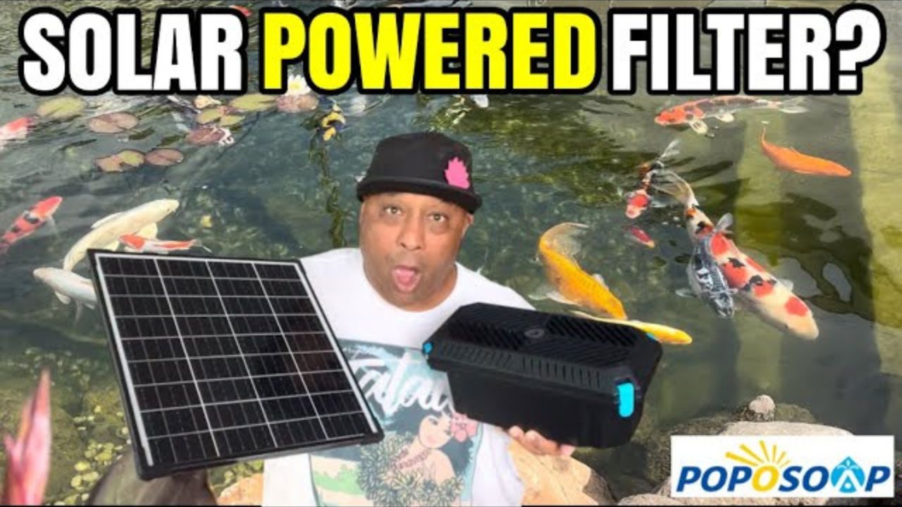 Solar Pond Filter, the New Favorite of Aquarium Enthusiasts