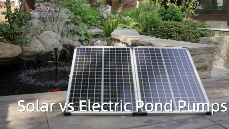 Solar vs Electric Pond Pumps: Which One Should You Choose?