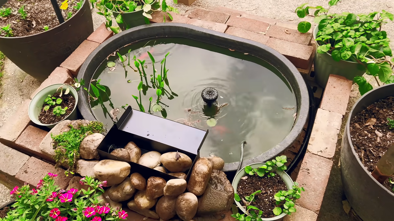 Pond Upgrade: Building a Sustainable Ecological Home with Poposoap Waterfall Pump Kit