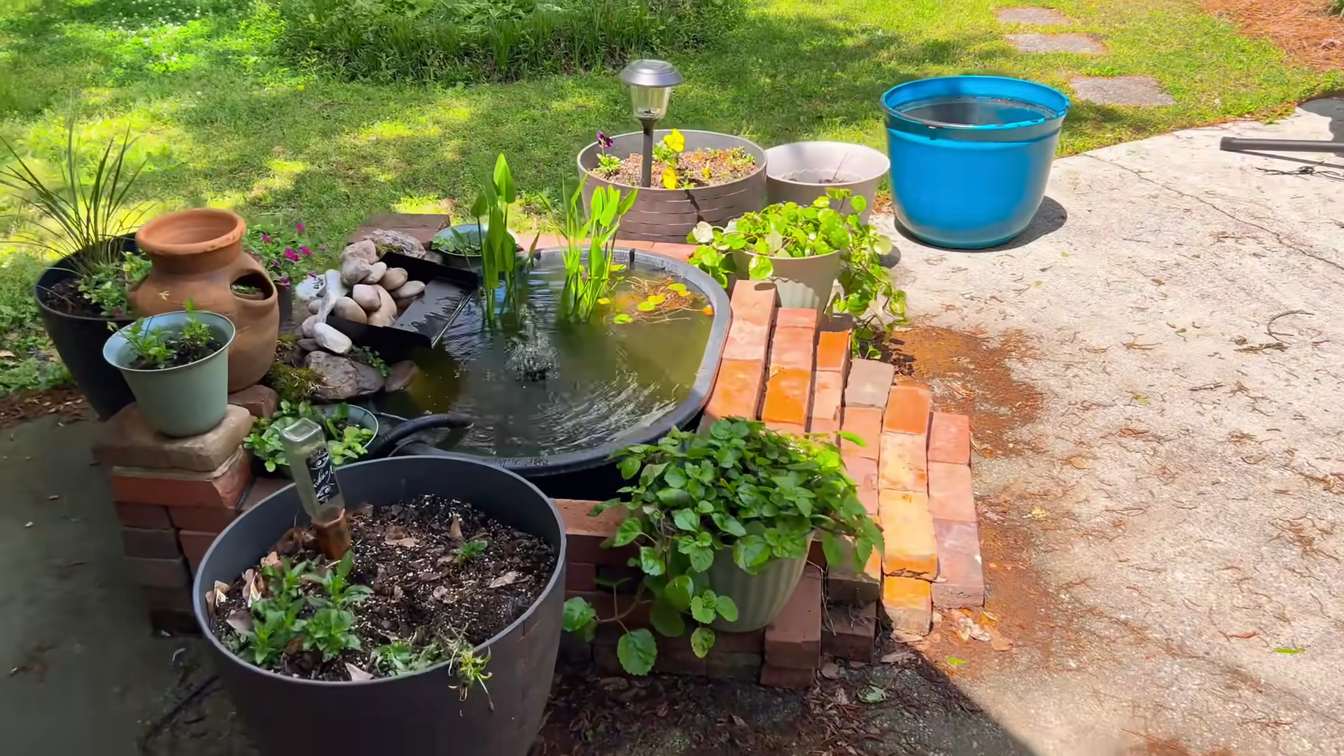 Ultimate Guide to Pond Goldfish Care: Create an Ideal Home for Goldfish