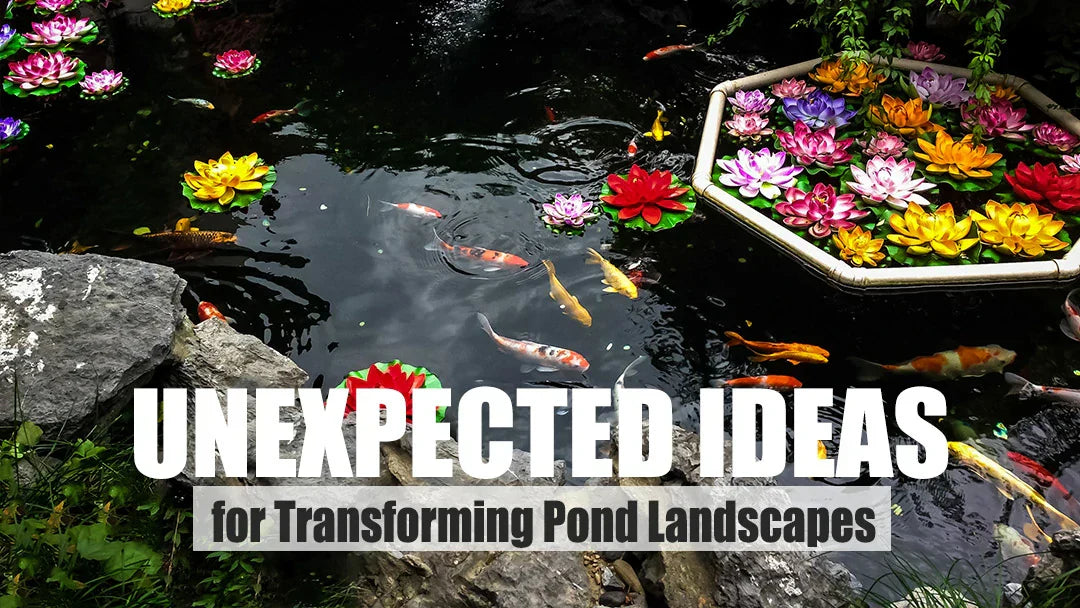Unexpected ideas for transforming pond landscapes