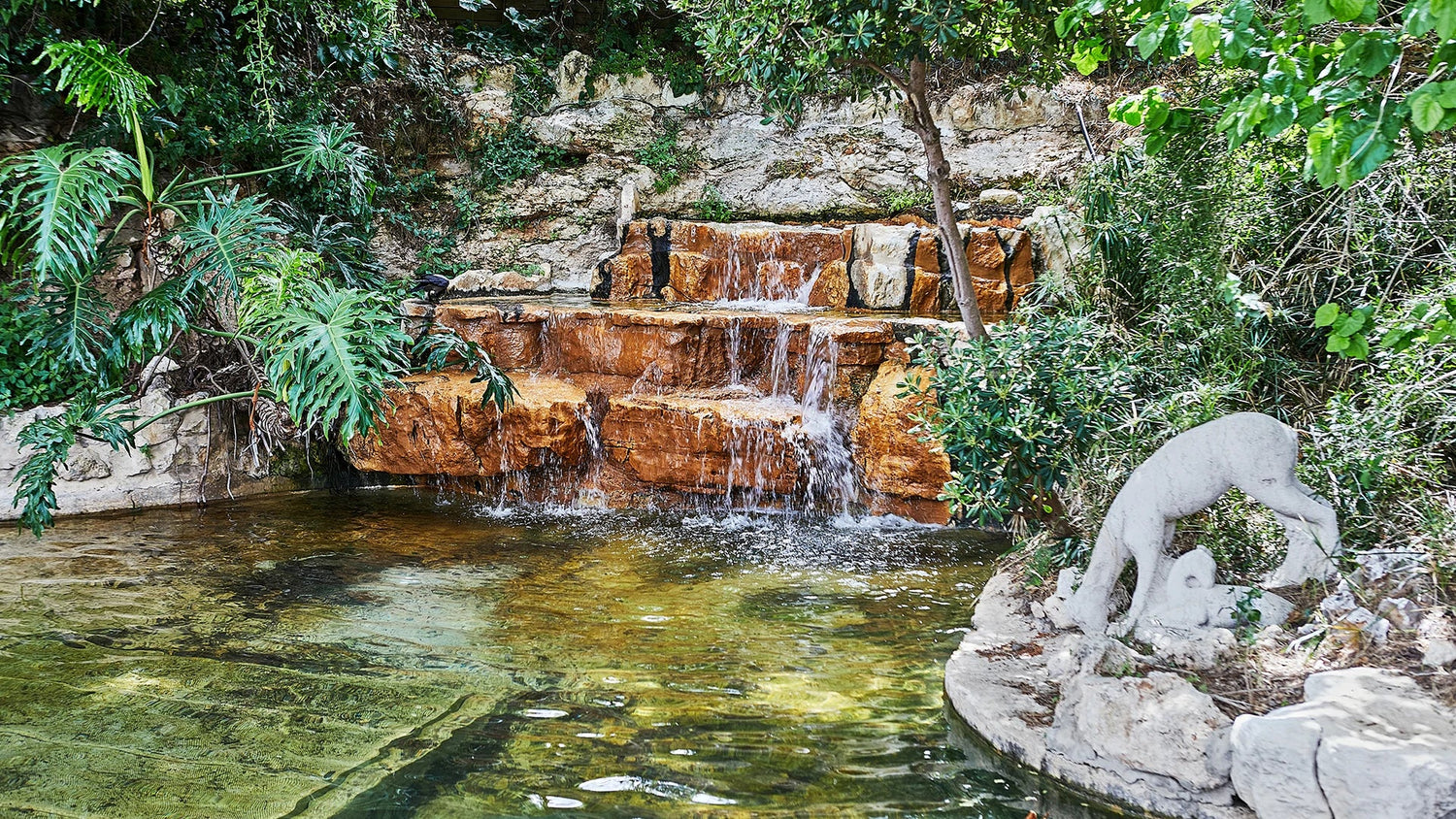 clear water is not always healthy water