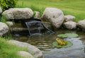 create a friendly garden pond for frogs 