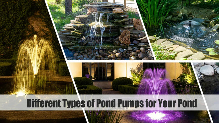 Different Types of Pond Pumps for Your Pond
