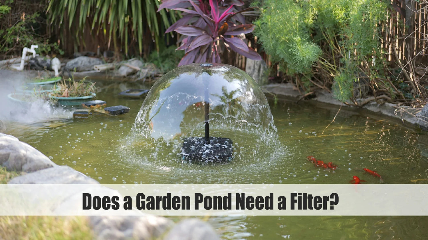 does a garden pond need a filter