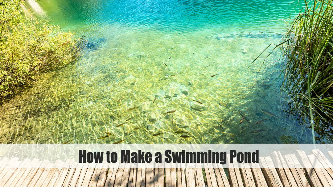 how to make a swimming pond