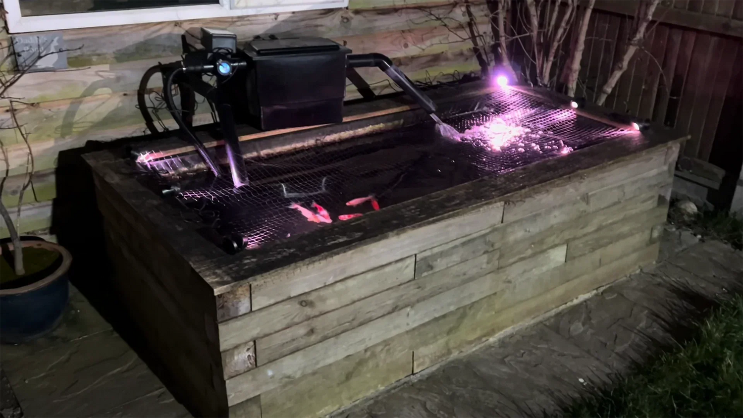 illuminate your diy fish pond with led lights