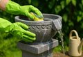 keep your birdbath clean without harming birds