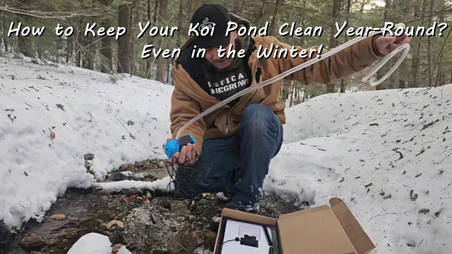 How to Keep Your Koi Pond Clean Year-Round? Even in the Winter!