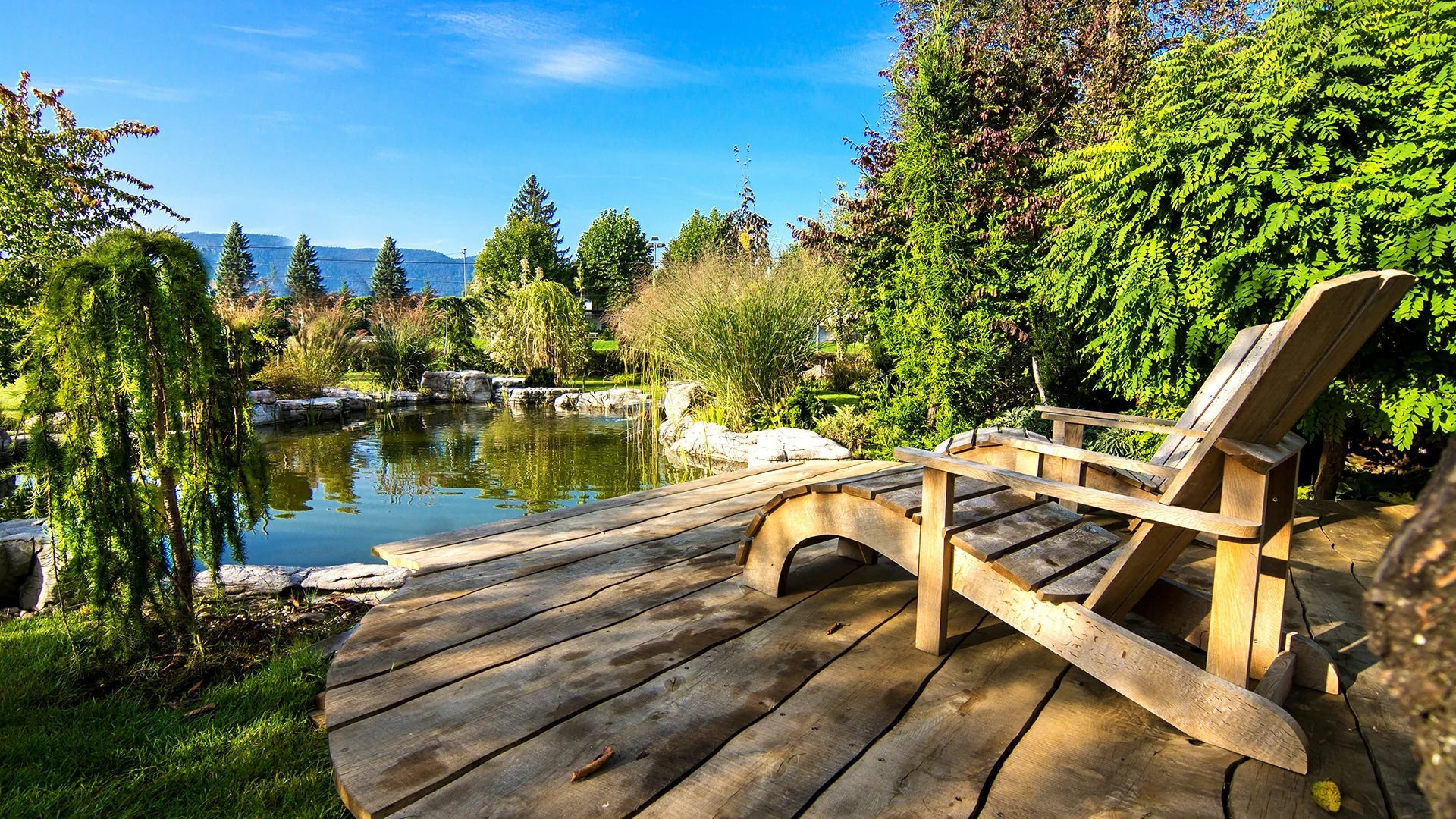 maintain a pond during extreme heat