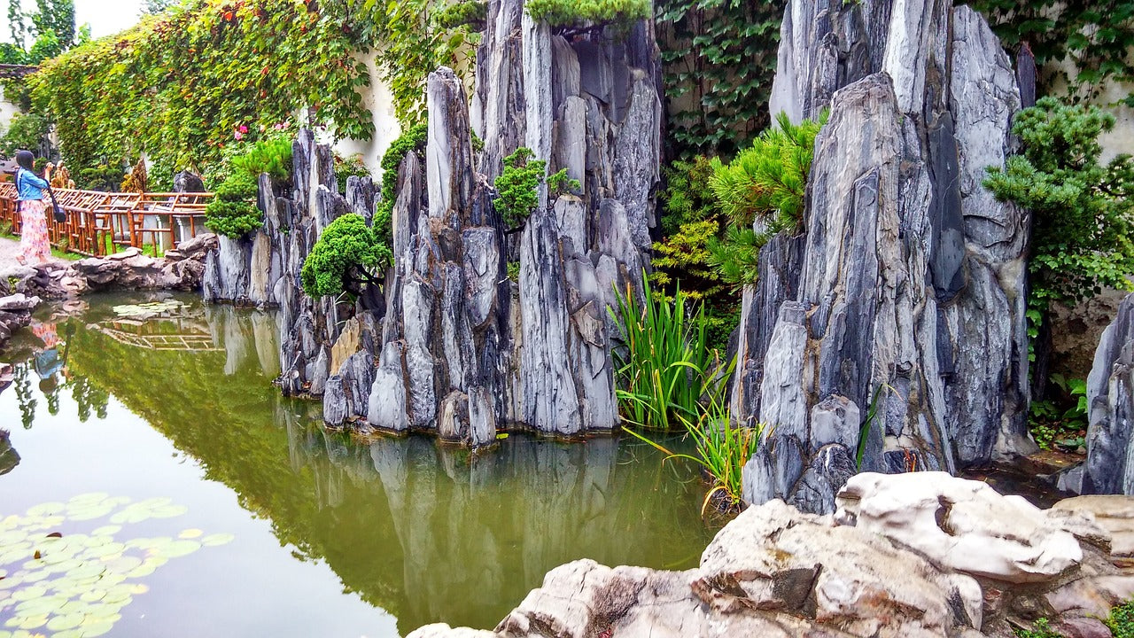 Pond Building: 7 Simple Steps to Creating Your Backyard Refuge