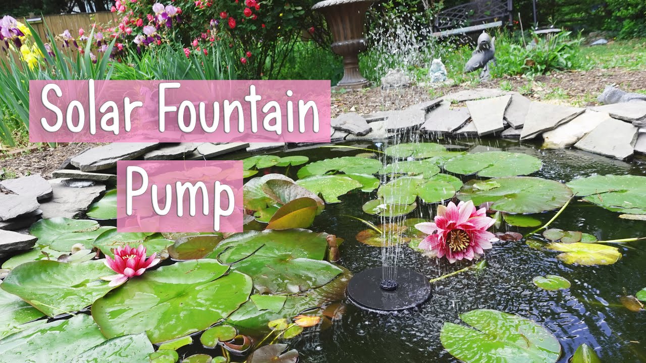 What Are Solar Pumps & How They Work?